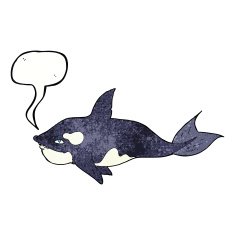 cartoon killer whale with speech bubble N11