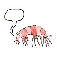cartoon shrimp with speech bubble N37
