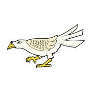 comic cartoon bird N61