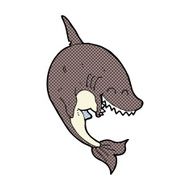 comic cartoon shark N11