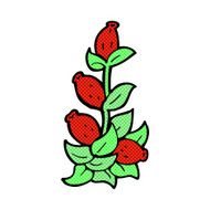 comic cartoon rosehip flowers