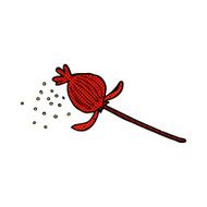 comic cartoon dried poppy flower N2