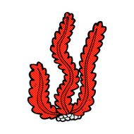 comic cartoon seaweed N11