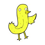 funny comic cartoon bird N37