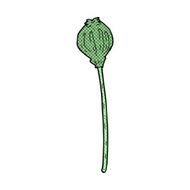 comic cartoon dried poppy N8