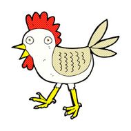 funny comic cartoon chicken N3