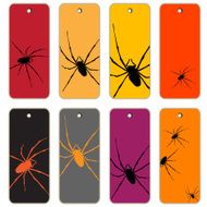 Spiders price tags