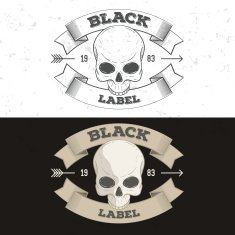 Retro vintage badge or logotype with skull N3