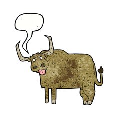 cartoon hairy cow with speech bubble N10
