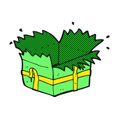 comic cartoon open present N3