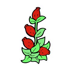 comic cartoon rosehip flowers