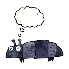 cartoon bug with thought bubble N37