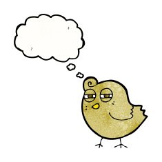funny cartoon bird with thought bubble N131