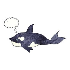 cartoon killer whale with thought bubble N11