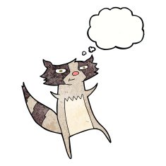 cartoon raccoon with thought bubble N11