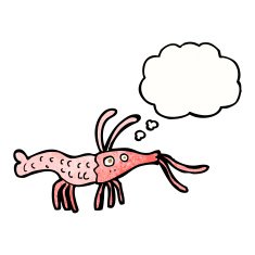 cartoon shrimp with thought bubble N38