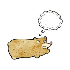 funny cartoon bear with thought bubble N51