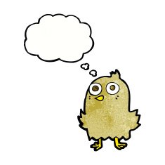 funny cartoon bird with thought bubble N134
