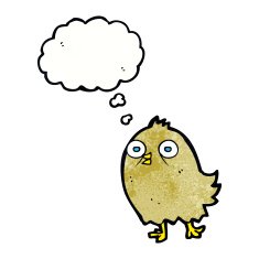 funny cartoon bird with thought bubble N135