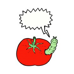 cartoon tomato with bug speech bubble N8