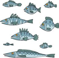 Set the fish