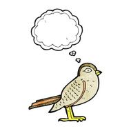 cartoon garden bird with thought bubble N42