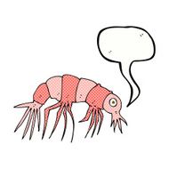 cartoon shrimp with speech bubble N40