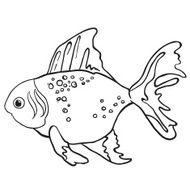 fish1