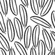 Seamless Pattern in Ethnic Style N6