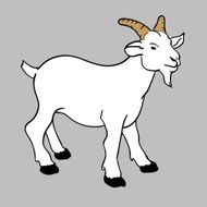 illustration goat vector N2