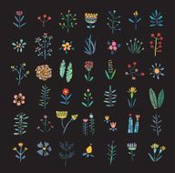 Hand Drawn vintage floral elements Flowers leaves branches berries Isolated