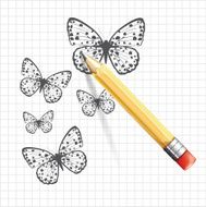 Butterfly sketch Vector illustration