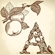 apple brown