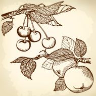 apple and charry brown