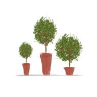 Pots with green tree for your design