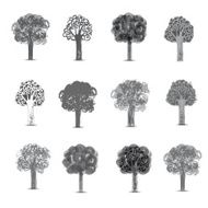 Vector set of different Monochrome Silhouettes Trees Landscap