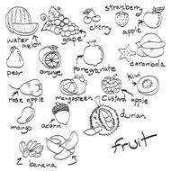 hand drawn set of fruit doodles