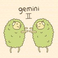 Gemini N13