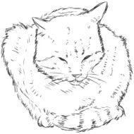 Vector Sketch Cat N2