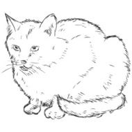 Vector Sketch Cat N3