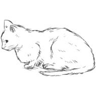 Vector Sketch Cat N4