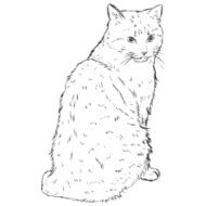 Vector Sketch Cat N6