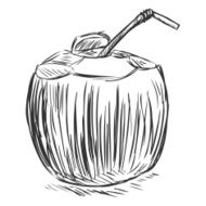 Vector Coconut Cocktail with a Straw