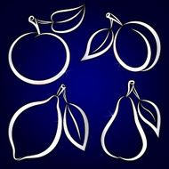 Vector abstract hand-drawn silhouettes of fruits