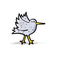 Cartoon Bird N18