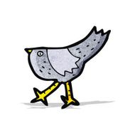 Cartoon Bird N19