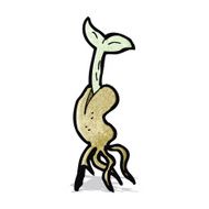 cartoon seedling