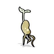 cartoon seedling N2