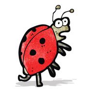 Cartoon Ladybug N13