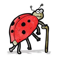 cartoon old ladybug